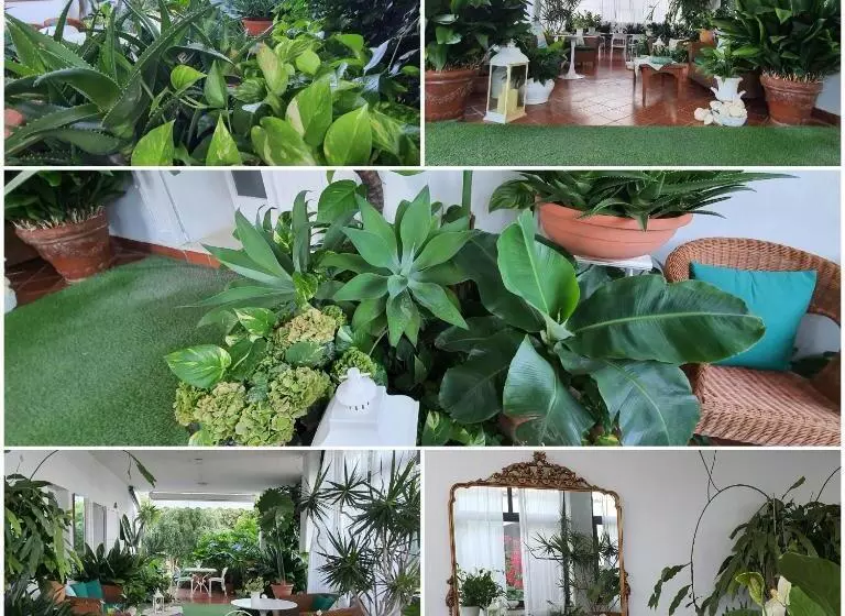 پانسیون Arenosu Comfort Country Resort