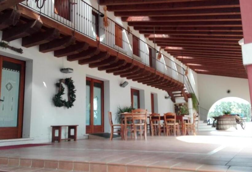 호텔 Agriturismo Il Salice Ridente