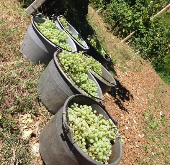 בית מלון כפרי Azienda Agricola Campion