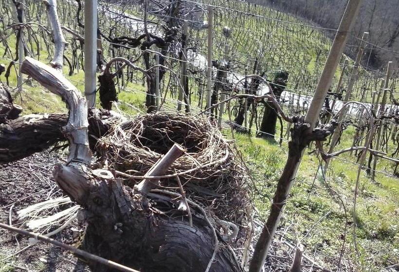 בית מלון כפרי Azienda Agricola Campion