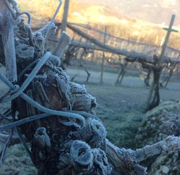 בית מלון כפרי Azienda Agricola Campion