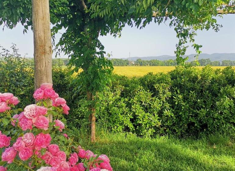 酒店 Casella Della Barca