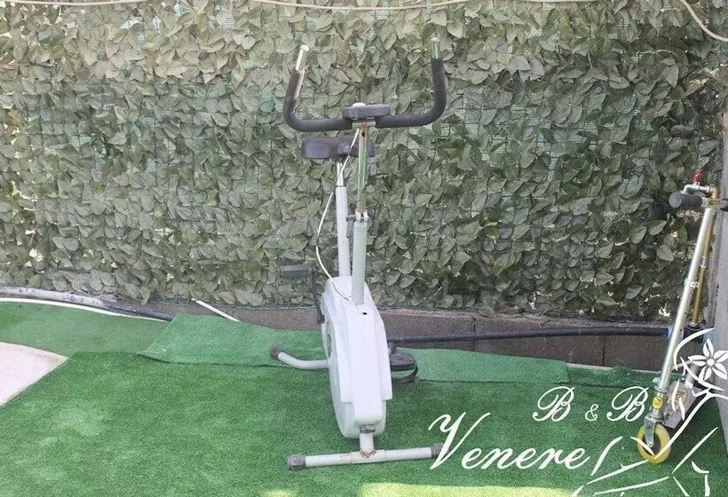 پانسیون Venere B&b Castelmola