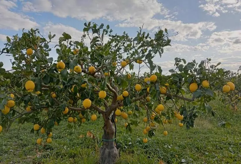 پانسیون Villa Laura Apartment