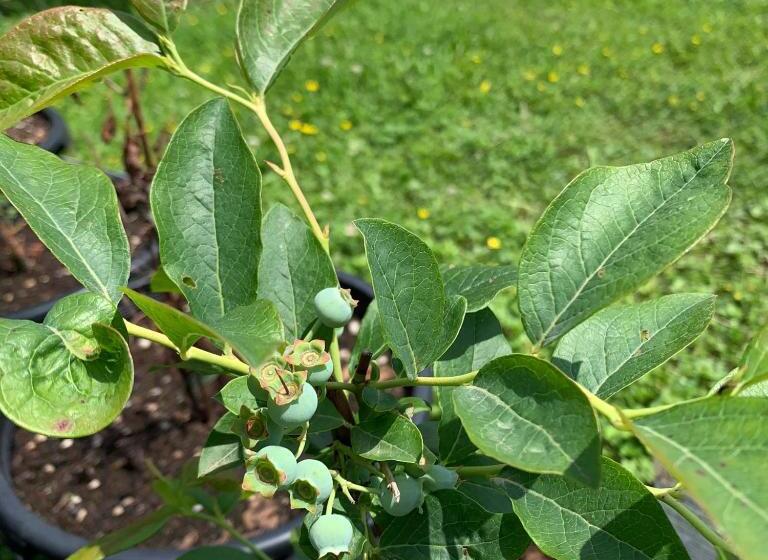 هتل Agriturismo Grammelot