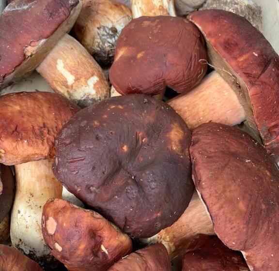 هتل Agriturismo Grammelot