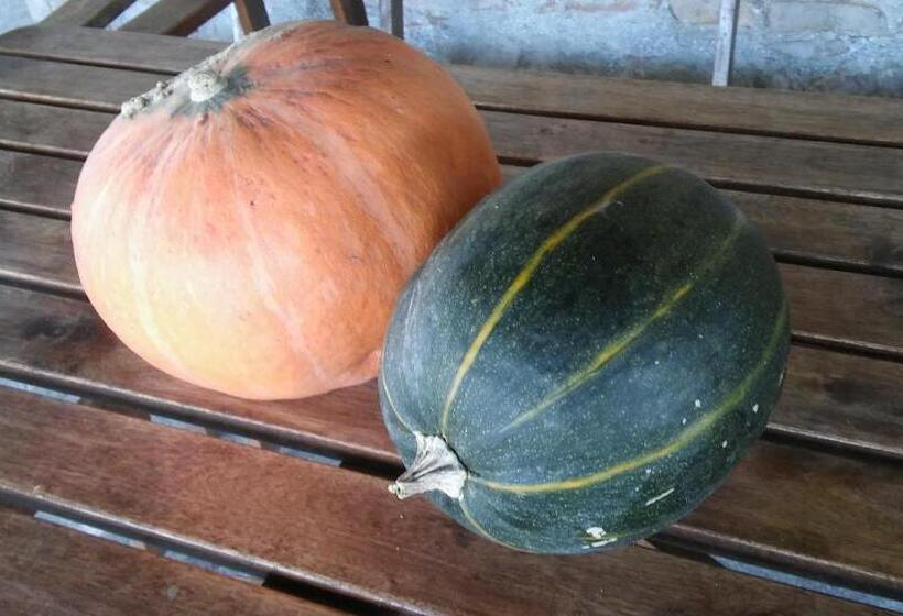 Отель Agriturismo Il Bacucco