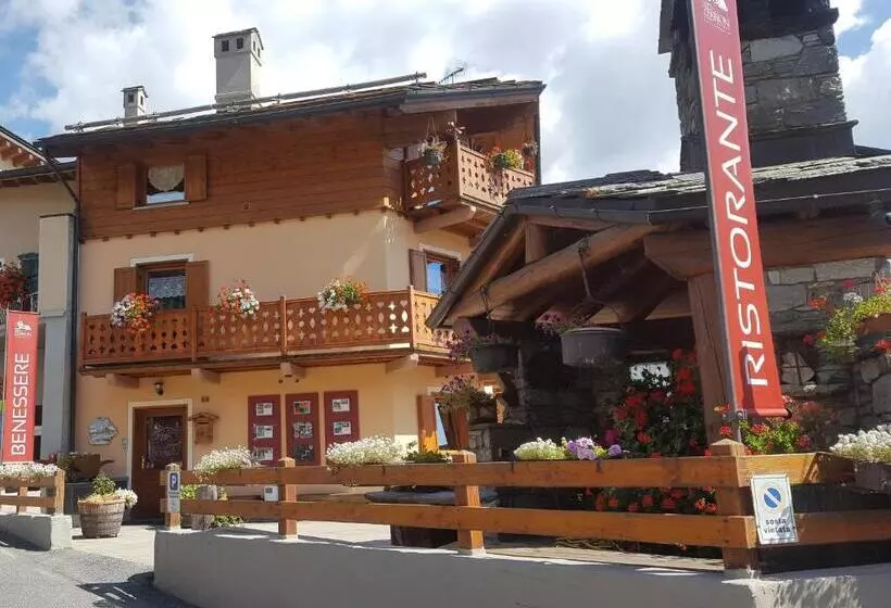 Maison De Leon