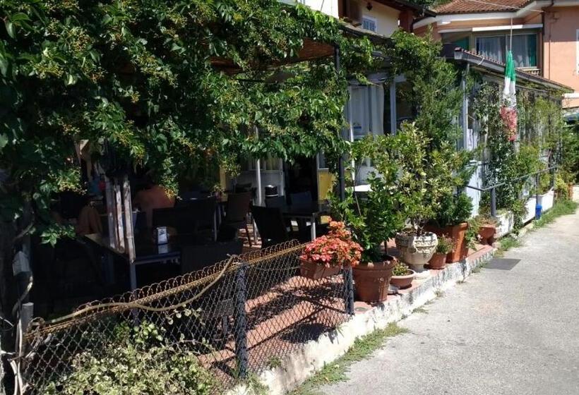 Пансион Affitta Camere Da Lalla