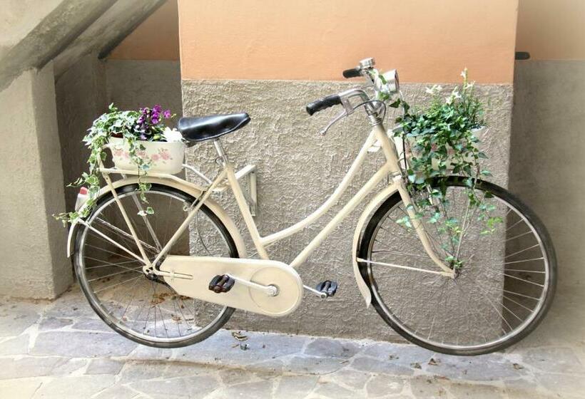 Pension Trieste Art Loft