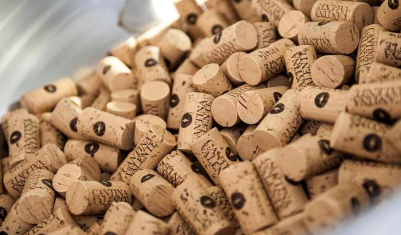 בית מלון כפרי Agriturismo La Torretta Da Valentina