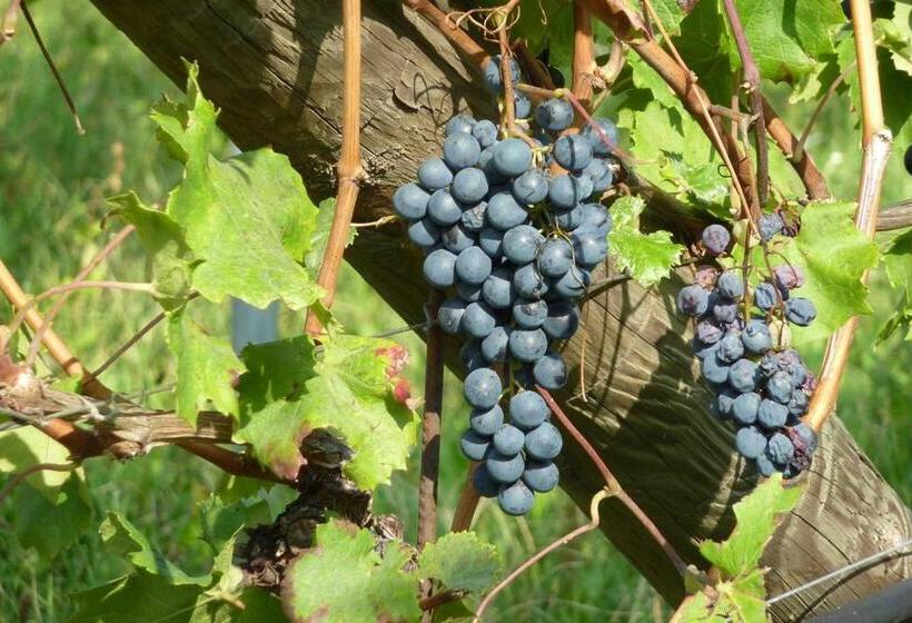 בית מלון כפרי Agriturismo La Torretta Da Valentina