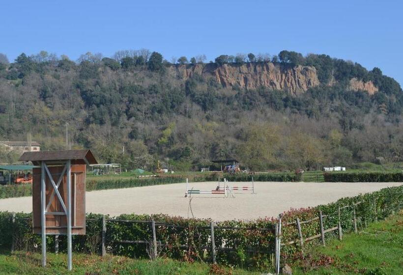 Отель Agriturismo Le Forre Del Treja