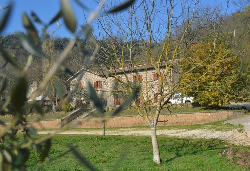 Отель Agriturismo Le Forre Del Treja