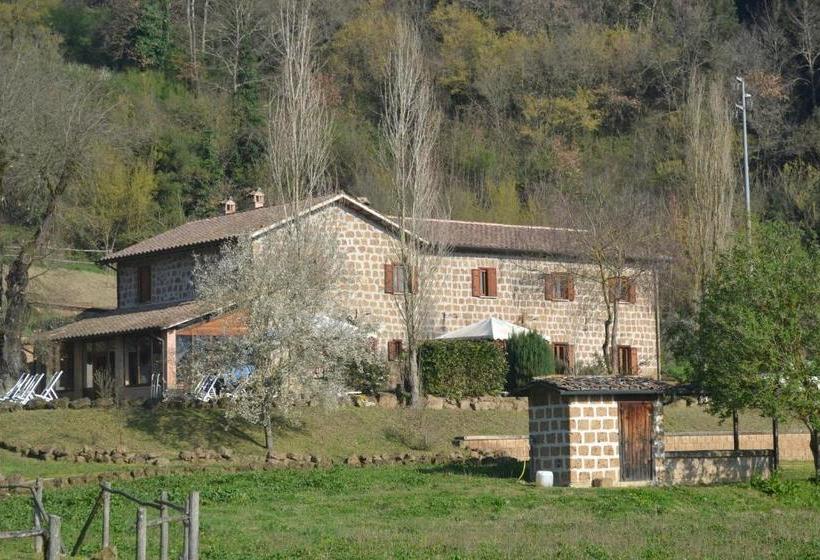 Отель Agriturismo Le Forre Del Treja
