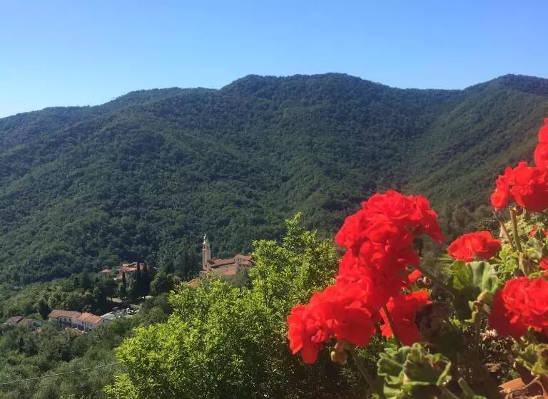 Majatalo Casa Carpe Diem A Villa Barca