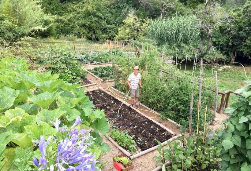 Pansiyon Casa Carpe Diem A Villa Barca