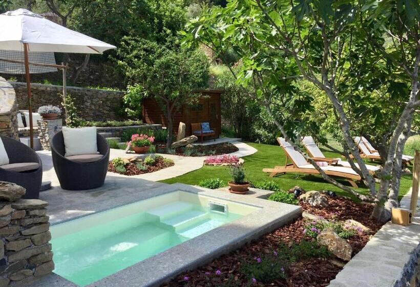 Pansiyon Casa Carpe Diem A Villa Barca