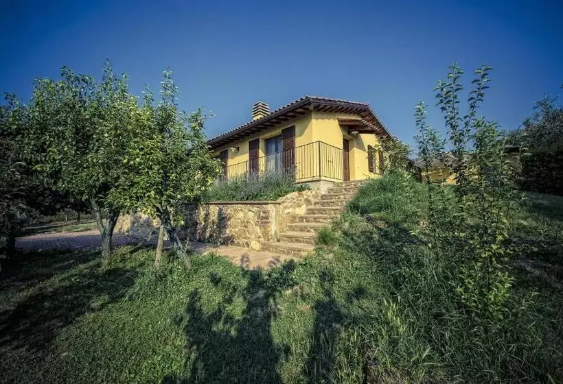 ホテル Agriturismo I Roseti