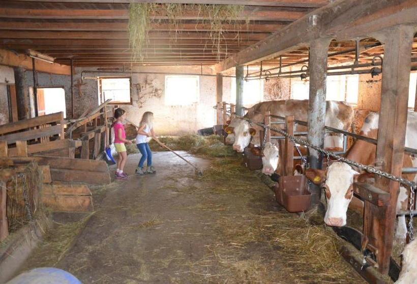 Отель Bärntalerhof