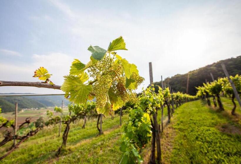 Отель Fattoria Le Vegre