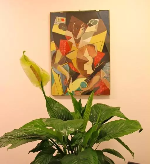 پانسیون Lo Studio Guest House