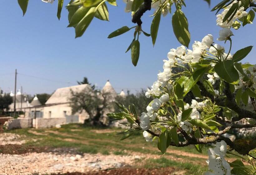 پانسیون Marinella Suite Home