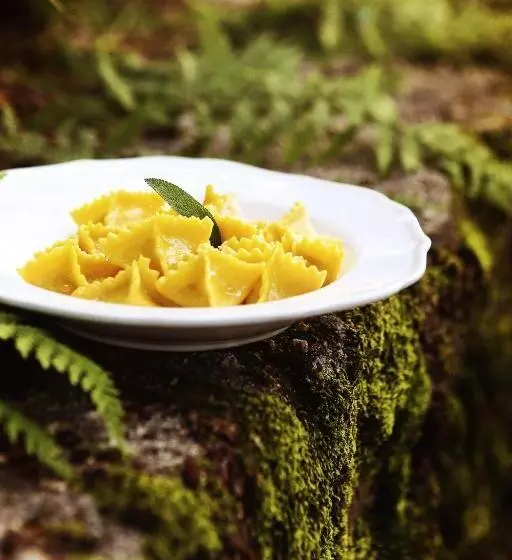 ペンション Villa Pizzini Mottarone   Restaurant And Rooms