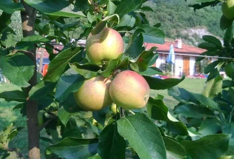 בית מלון כפרי Agriturismo Trefrutti