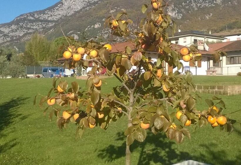 בית מלון כפרי Agriturismo Trefrutti