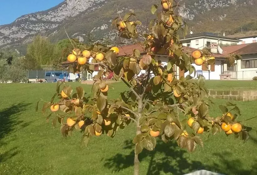 هتل Agriturismo Trefrutti