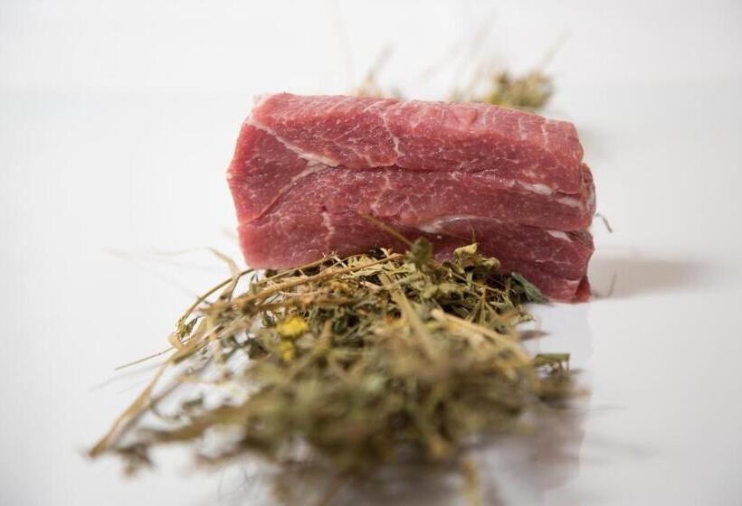 酒店 Locanda Belvedere