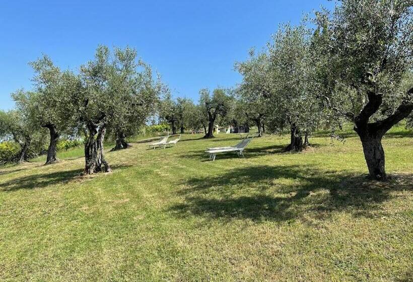 酒店 Locanda Belvedere