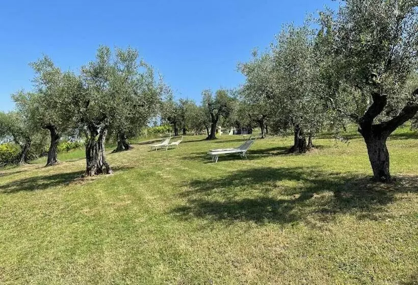هتل Locanda Belvedere