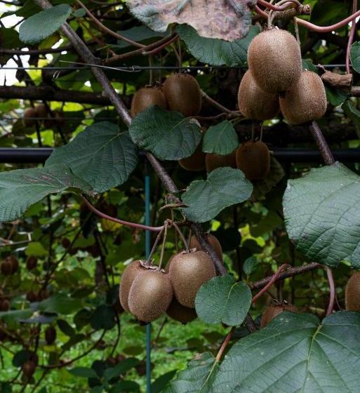 호텔 Agriturismo Al Luogo Del Giulio