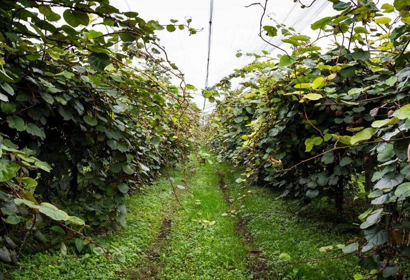 호텔 Agriturismo Al Luogo Del Giulio