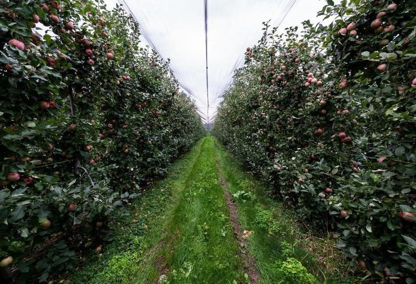 호텔 Agriturismo Al Luogo Del Giulio