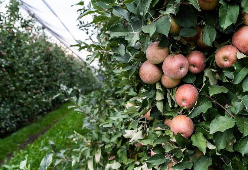 호텔 Agriturismo Al Luogo Del Giulio