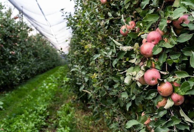 호텔 Agriturismo Al Luogo Del Giulio