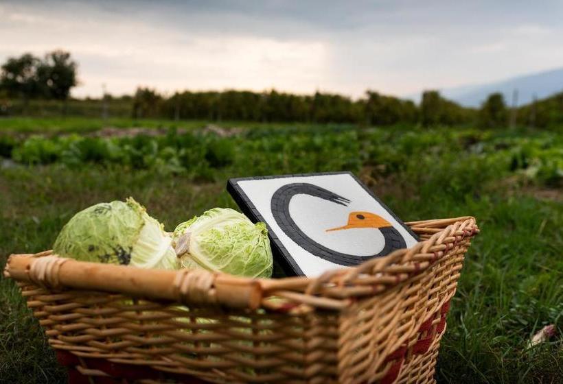 호텔 Agriturismo Al Luogo Del Giulio