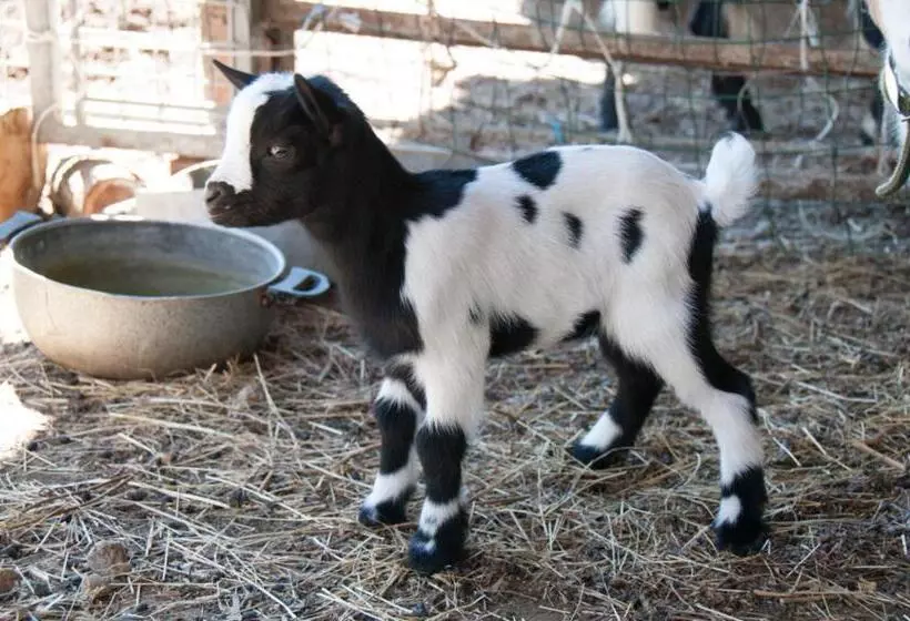 ホテル Cascina La Romana