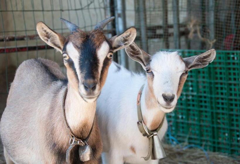 בית מלון כפרי Cascina La Romana