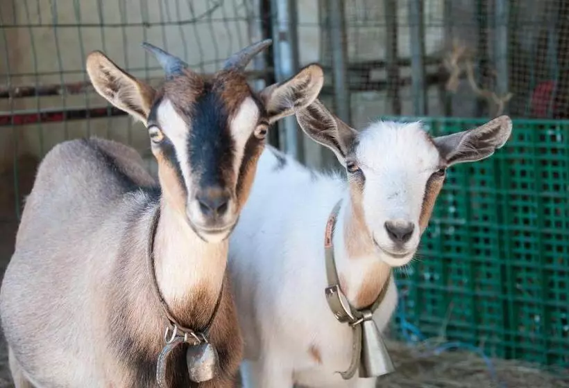 ホテル Cascina La Romana