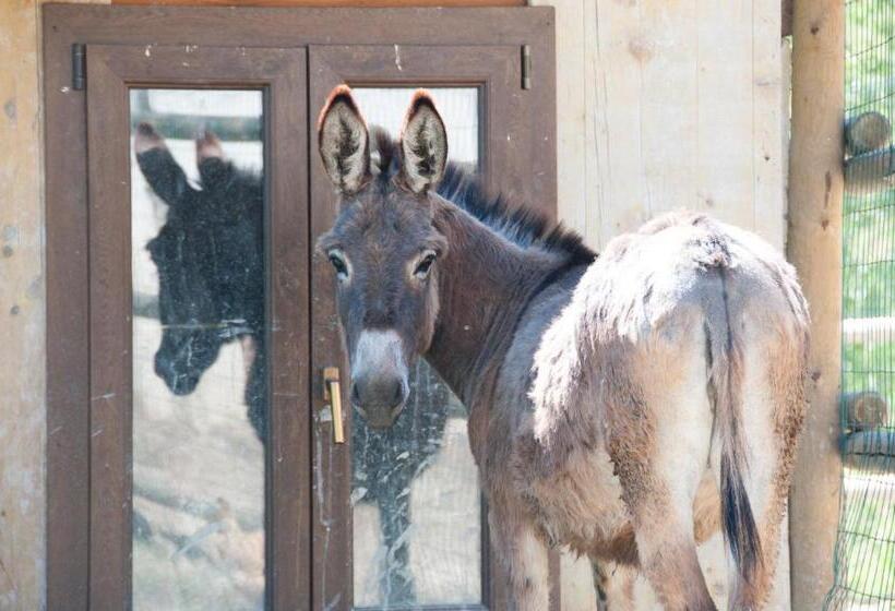 בית מלון כפרי Cascina La Romana