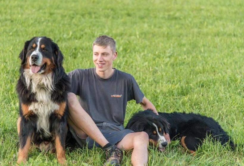 Отель Oberbaumgartnerhof