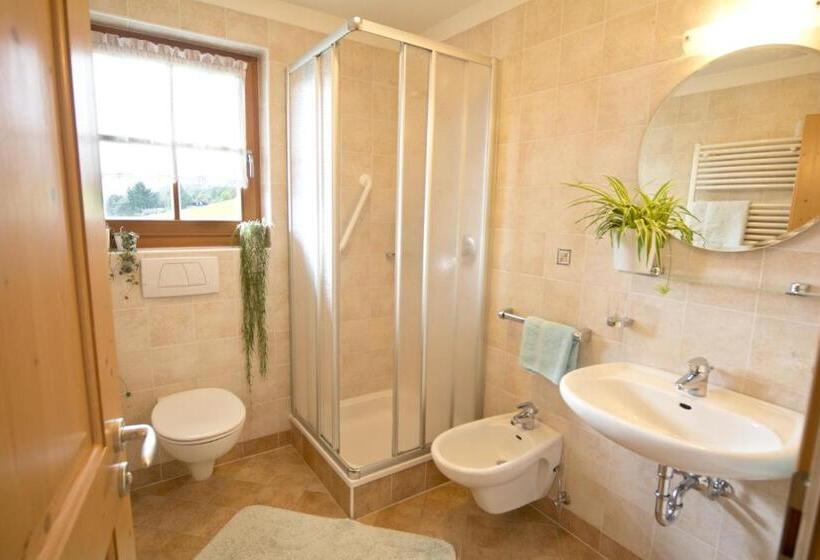 Отель Oberbaumgartnerhof