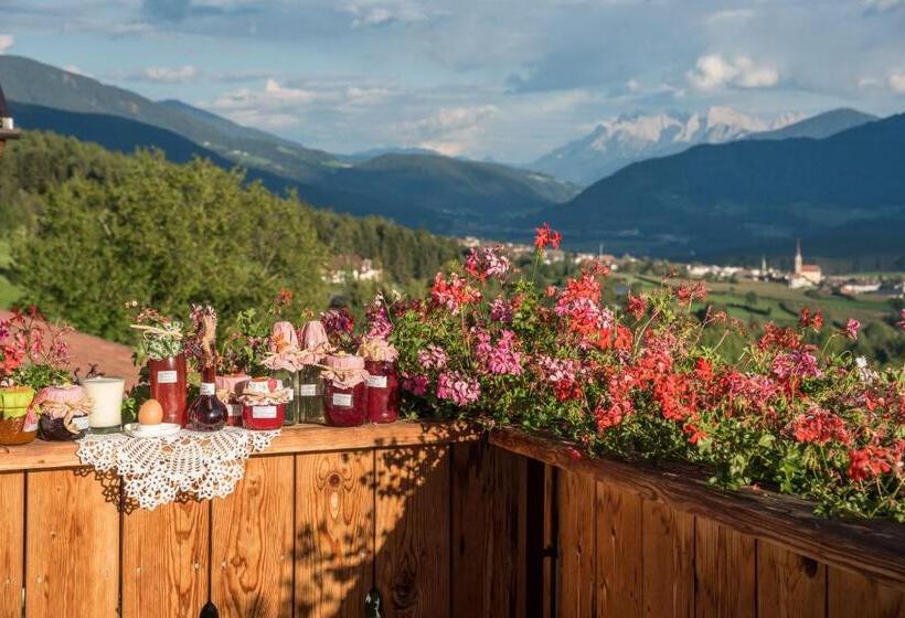 Отель Oberbaumgartnerhof