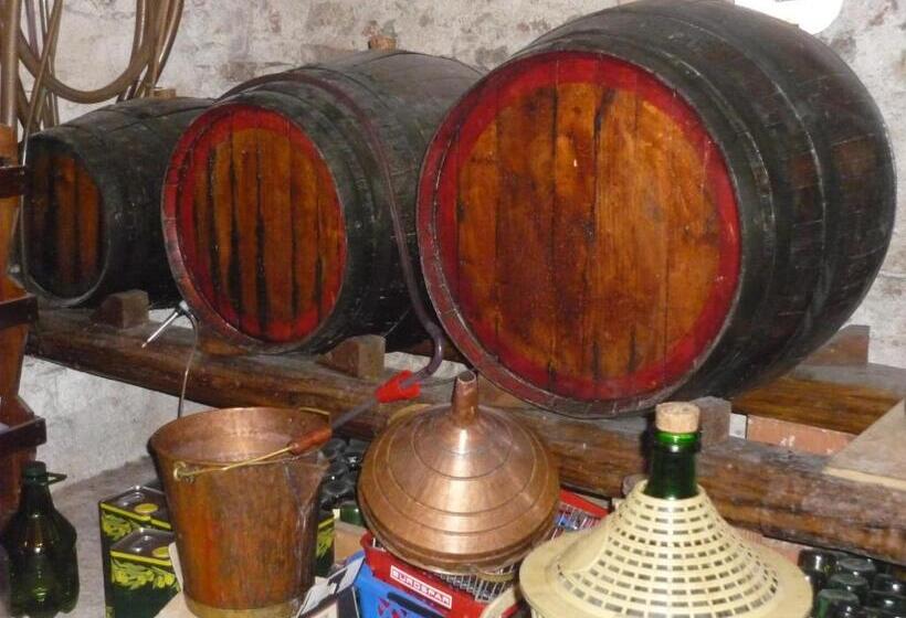 پانسیون Affittacamere Maria Stella