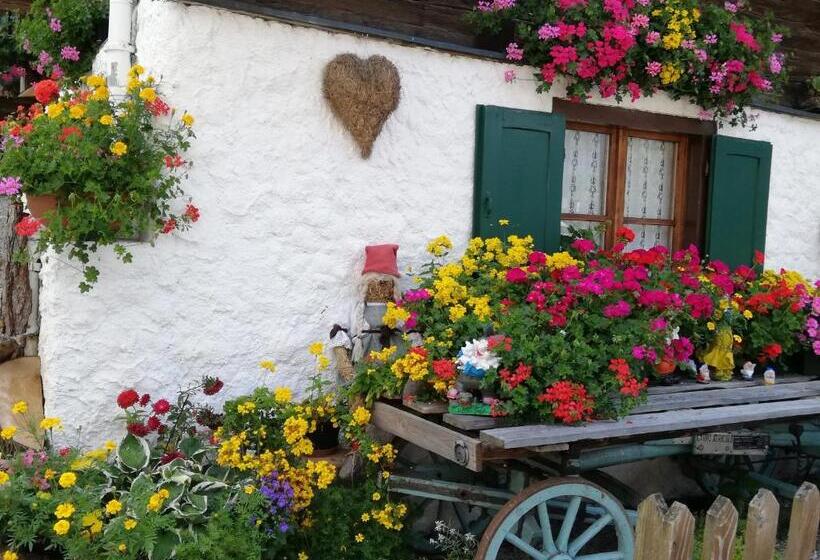 پانسیون Affittacamere Maria Stella