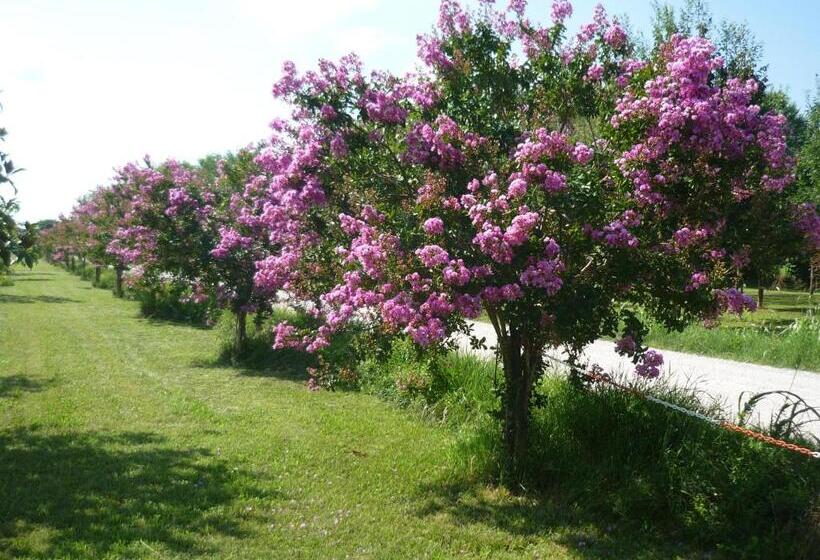 پانسیون Affittacamere Maria Stella